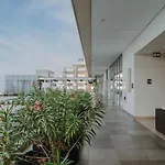 Beautiful And Modern Apartment