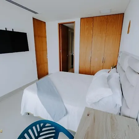 Beautiful And Modern *